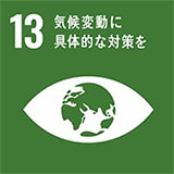No.13 「気候変動に具体的な対策を」のアイコン